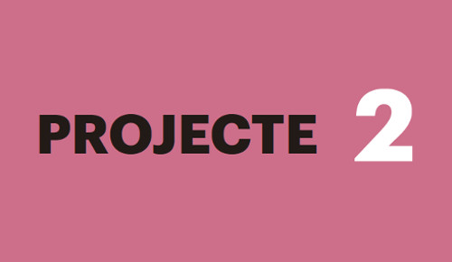 Projecte 2